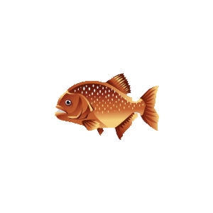 Copper Precious Piranha